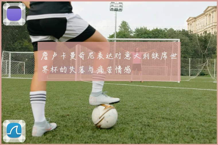 詹卢卡曼奇尼表达对意大利缺席世界杯的失落与痛苦情感